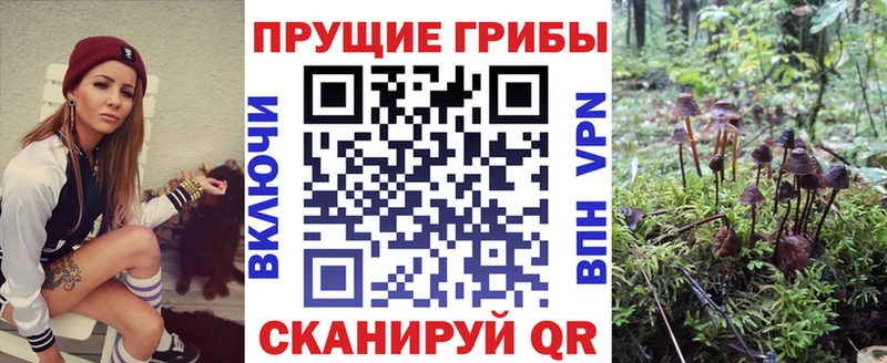 MEGA как войти  цены   Шимановск  Псилоцибиновые грибы MAGIC MUSHROOMS 